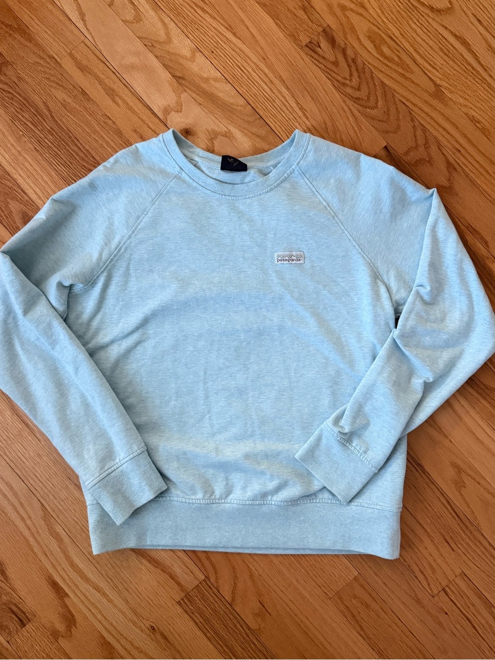 Patagonia Light Blue Crewneck Pullover